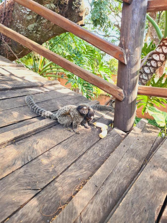 Hotel Fazenda Villa Vitta Sao Pedro  Bagian luar foto